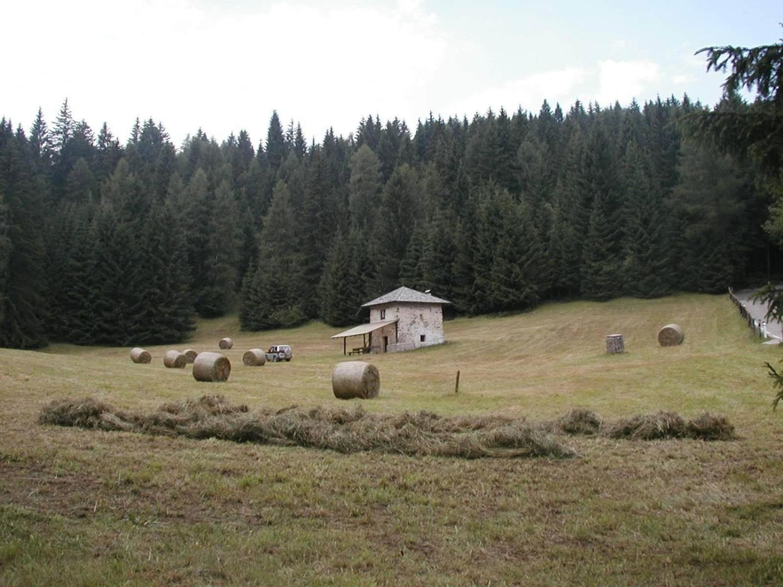 Locanda Alpina Brez Екстериор снимка